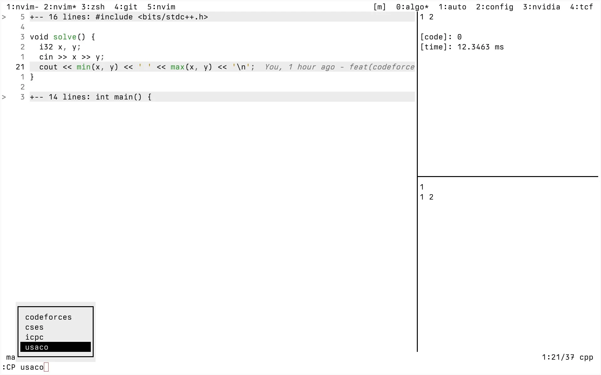 screenshot of my neovim competitive programming setup